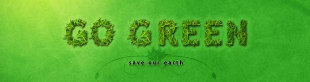 Go Green and Save Money